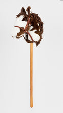 Load image into Gallery viewer, Snowy Mountain Ponies - Brown Paint Stick Horse with Leather Bridle - Stick Pony - Hobby Horse